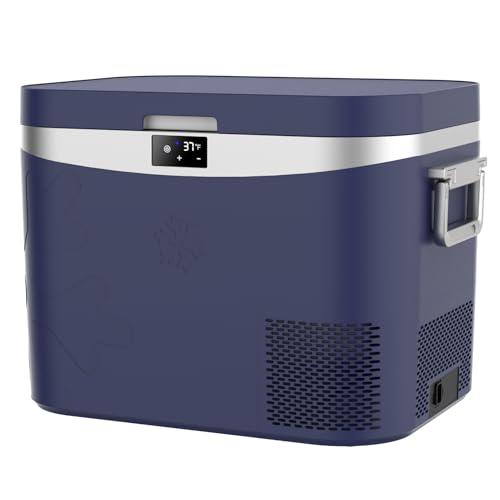 Car Refrigerator