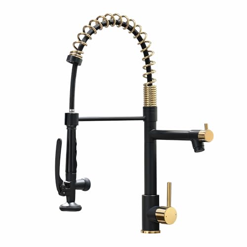 Black&Gold Kitchen Faucet with Sprayer