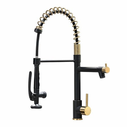 Black&Gold Kitchen Faucet with Sprayer