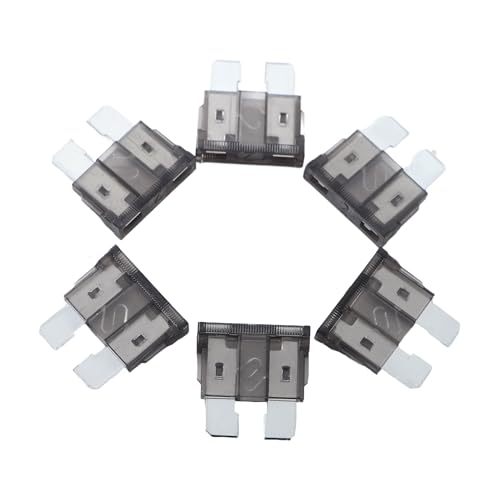 100 Pack Auto Fuses 2 AMP ATC