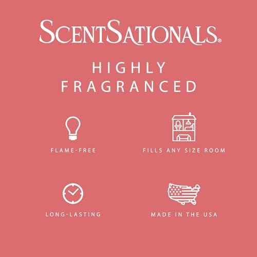 Watermelon Sugar Scented Wax Melts 10oz (10 Ounce)