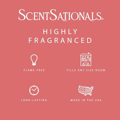 Watermelon Sugar Scented Wax Melts 10oz (10 Ounce)