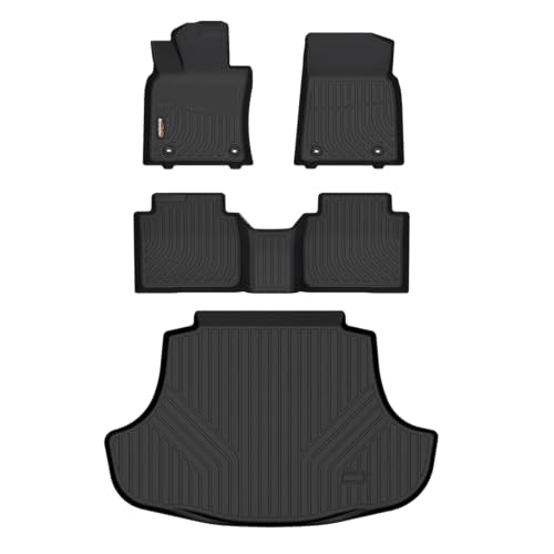 Floor Mats & Cargo Liner for 2019