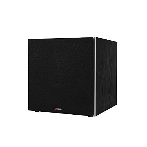PSW10 10" Subwoofer