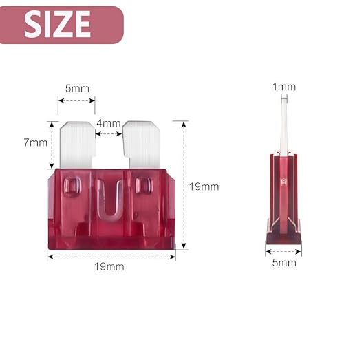 80Pcs) 40 Amp Standard Fuse, 40A Car Blade Fuses for Car/RV/Truck/SUV/Motorcycle/Boat