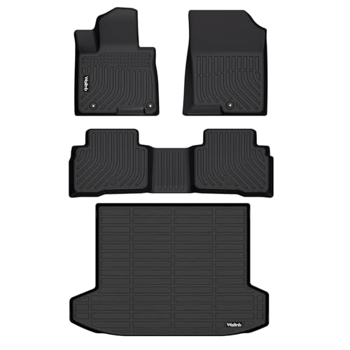 Car Floor Mats & Cargo Mat Custom for 2022