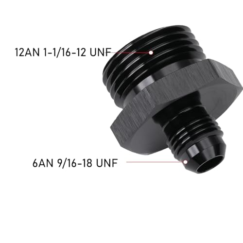 6AN Male Flare to 12AN ORB O