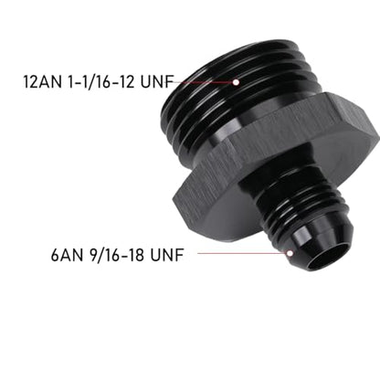 6AN Male Flare to 12AN ORB O