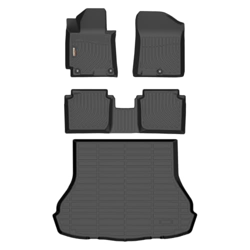 Floor Mats & Cargo Liner for 2011