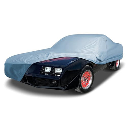 Car Cover Waterproof All Weather for 1967