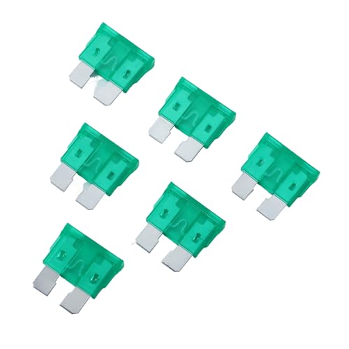 100 Pack Auto Fuses 30 AMP ATC