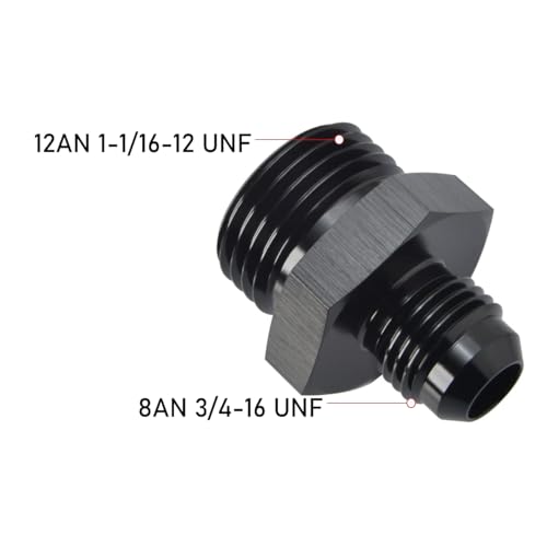 8AN Male Flare to 12AN 12 ORB O
