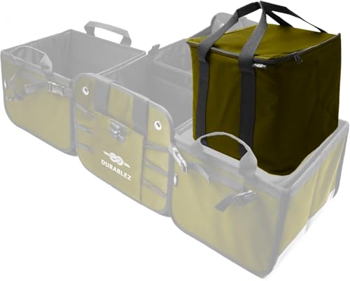 Thermal Cooler for Car Trunk