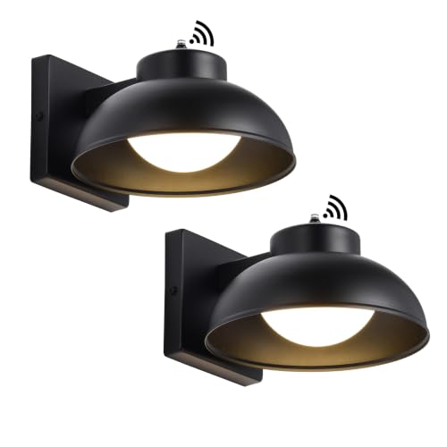 Black Exterior Light Fixtures (2 Count)