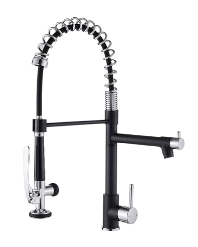 Kitchen Sink Faucet