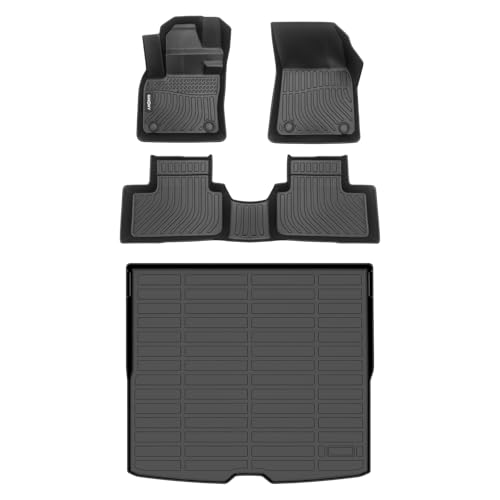 Floor Mats & Cargo Liner for 2019