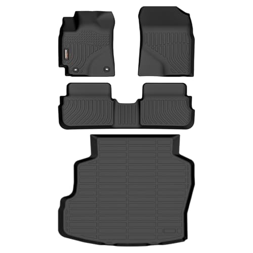 Floor Mats & Cargo Liner for 2009