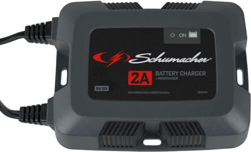 Fully Automatic 2A 6V