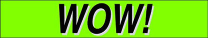 Ez line Vinyl Windshield Stickers 3 Dozen 15 Inch Chartreuse Slogan Dealership Pro Pack for Car Lots (36 Count)