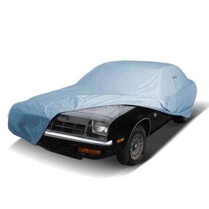Car Cover Waterproof All Weather for 1961