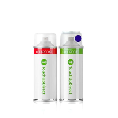 Car Paint Touch Up Spray Kit (22 Ounce)