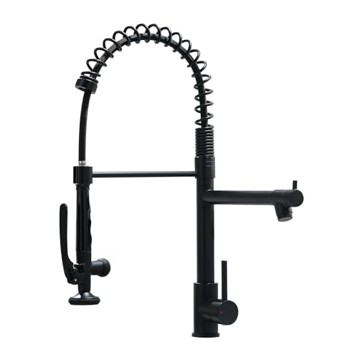 Black Kitchen Faucet
