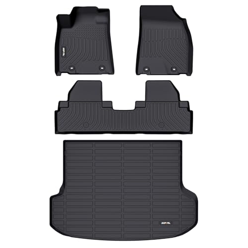 Floor Mats & Cargo Liner Set for 2010