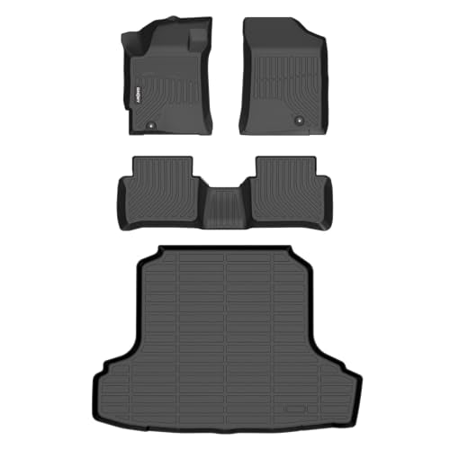 Floor Mats & Cargo Liner for 2011