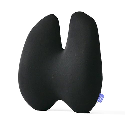 Extra Dense Lumbar Pillow