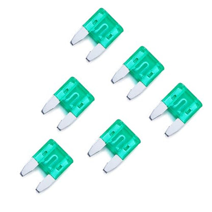 100 Pack Auto Fuses 30 AMP APM (100 Count)