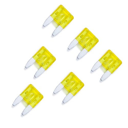 100 Pack Auto Fuses 20 AMP APM (100 Count)