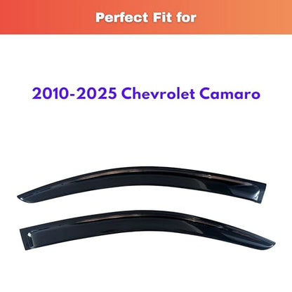 Rain Guards Fit for 2010 (2 Count)