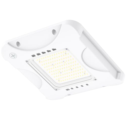 LED Canopy Light with 150W