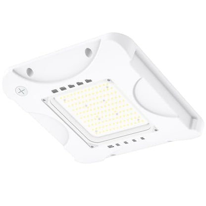 LED Canopy Light with 150W