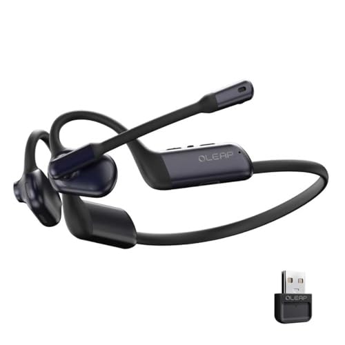 P200b Pro Wireless Headset with Mic for Work