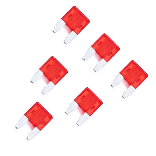 100 Pack Auto Fuses 10AMP APM (100 Count)