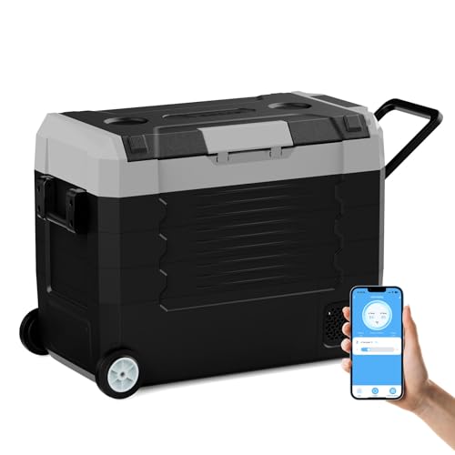 58QT Car Refrigerator 12