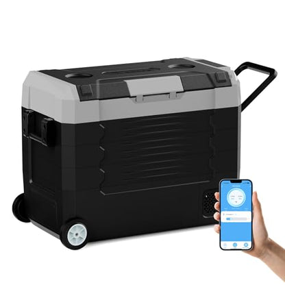 58QT Car Refrigerator 12