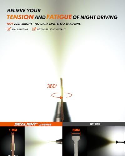 9006 LED Bulbs