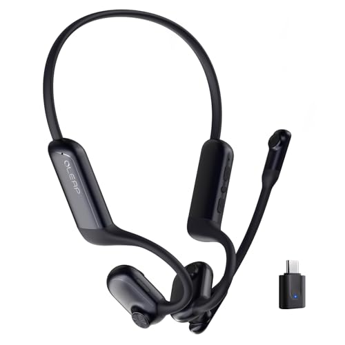 P200b Pro Wireless Headset with Microphone for Work