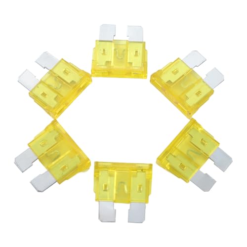 100 Pack Auto Fuses 20 AMP ATC