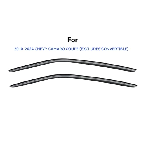 Window Visors Rain Guards for 2010