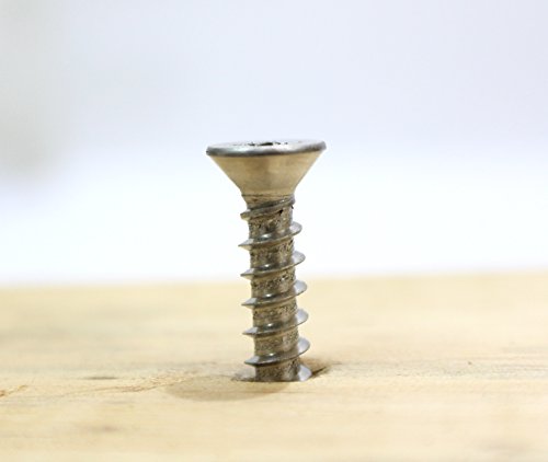 4 x 3 4 inch Stainless Flat Head Phillips Wood Screw (100 Count)