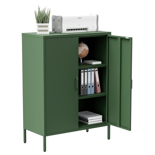 Metal Storage Cabinet with Doors and Shelves