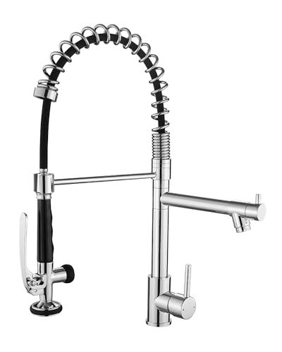 Chrome Kitchen Faucet with Sprayer