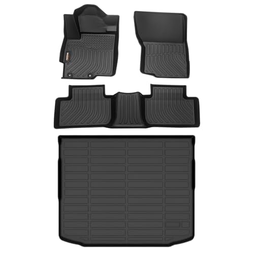 Floor Mats & Cargo Liner for 2011