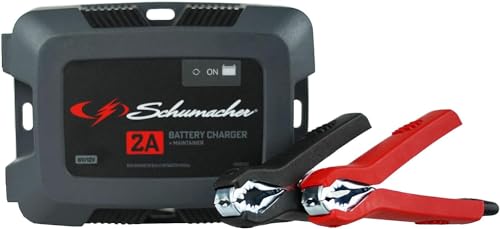 Fully Automatic 2A 6V