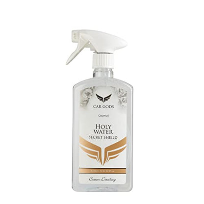 Paint Sealant Holy Water Secret Shield Polish (17 Fl Oz)