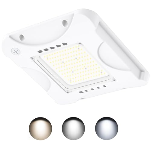 LED Canopy Light with 150W