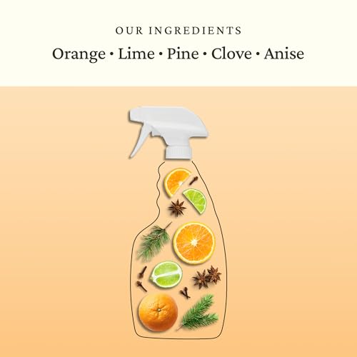 Odor Eliminator Spray for Room & Fabric (24 Fl Oz)